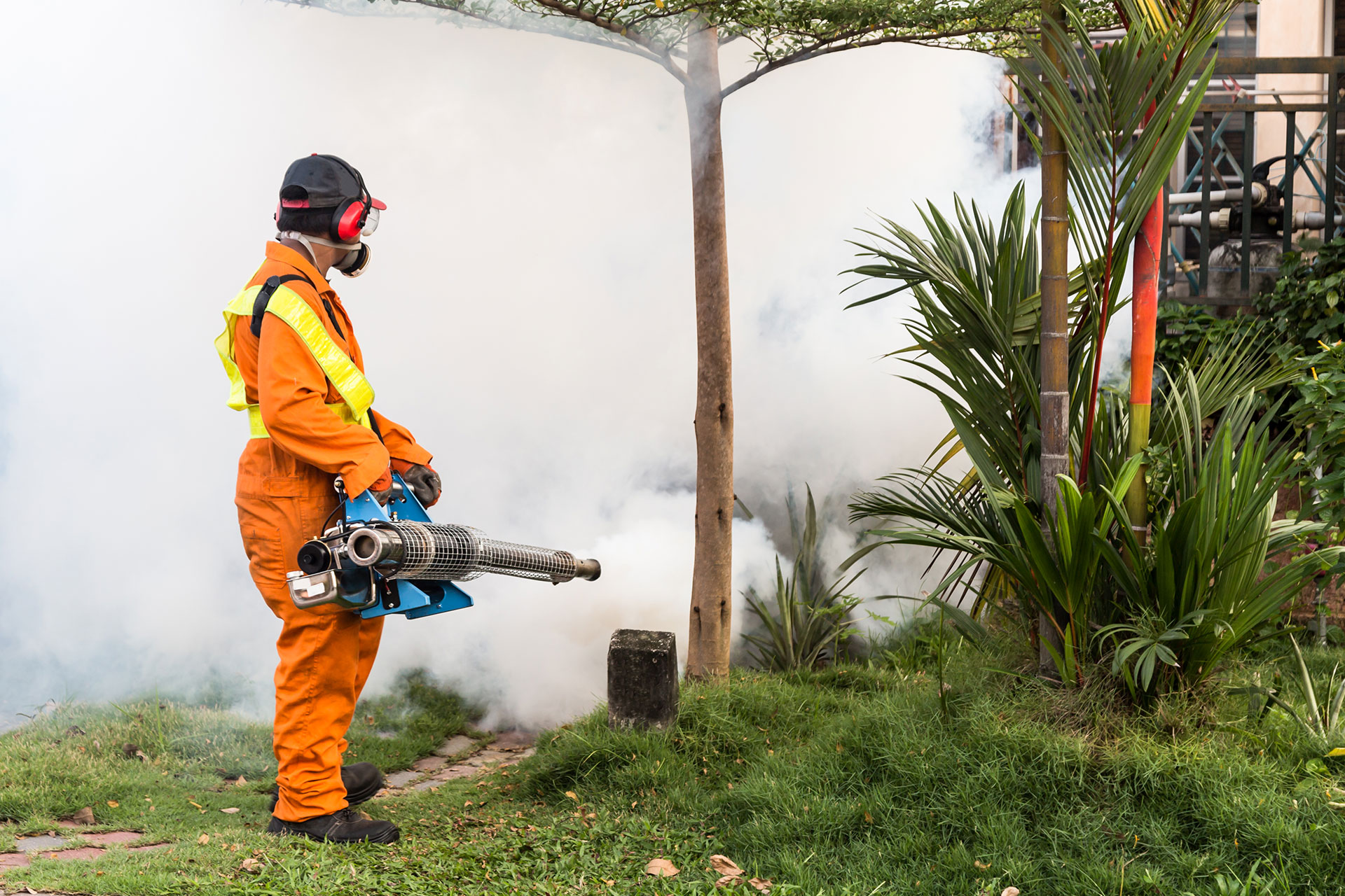 worker-fogging-residential-area-with-insecticides-2021-09-01-21-14-56-P4FQB4D.jpg